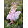 Woodland Butterfly Dress & Headpiece, Size 5-6