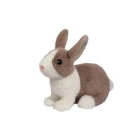Douglas Daffodil Dutch Bunny