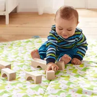 Basic Building Blocks 26 Piece Starter Set Haba Basic Building Blocks 26 Piece Starter Set