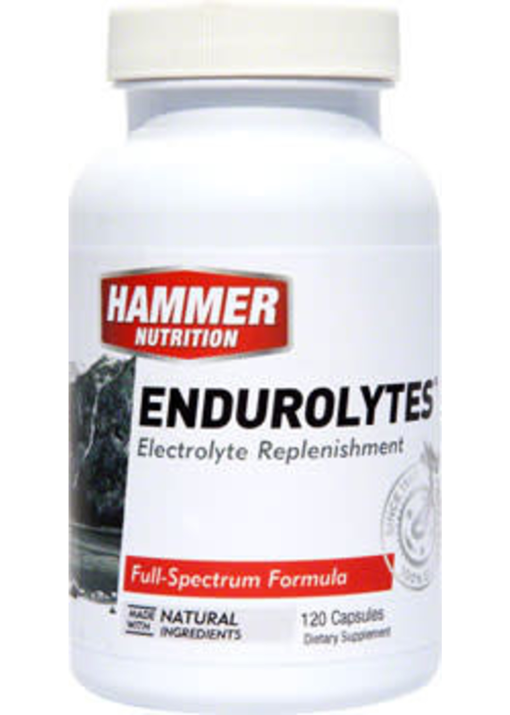 Hammer Nutrition Hammer Endurolytes: Bottle of 120 Capsules
