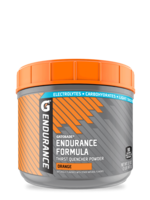 Gatorade Endurance Gatorade Endurance Formula Powder 32oz - Orange