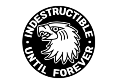 INDESTRUCTIBLE