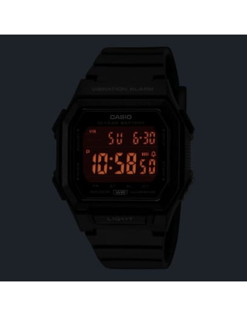 CASIO CASIO W-738H-1BV