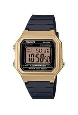 CASIO CASIO W-217HM-9AV