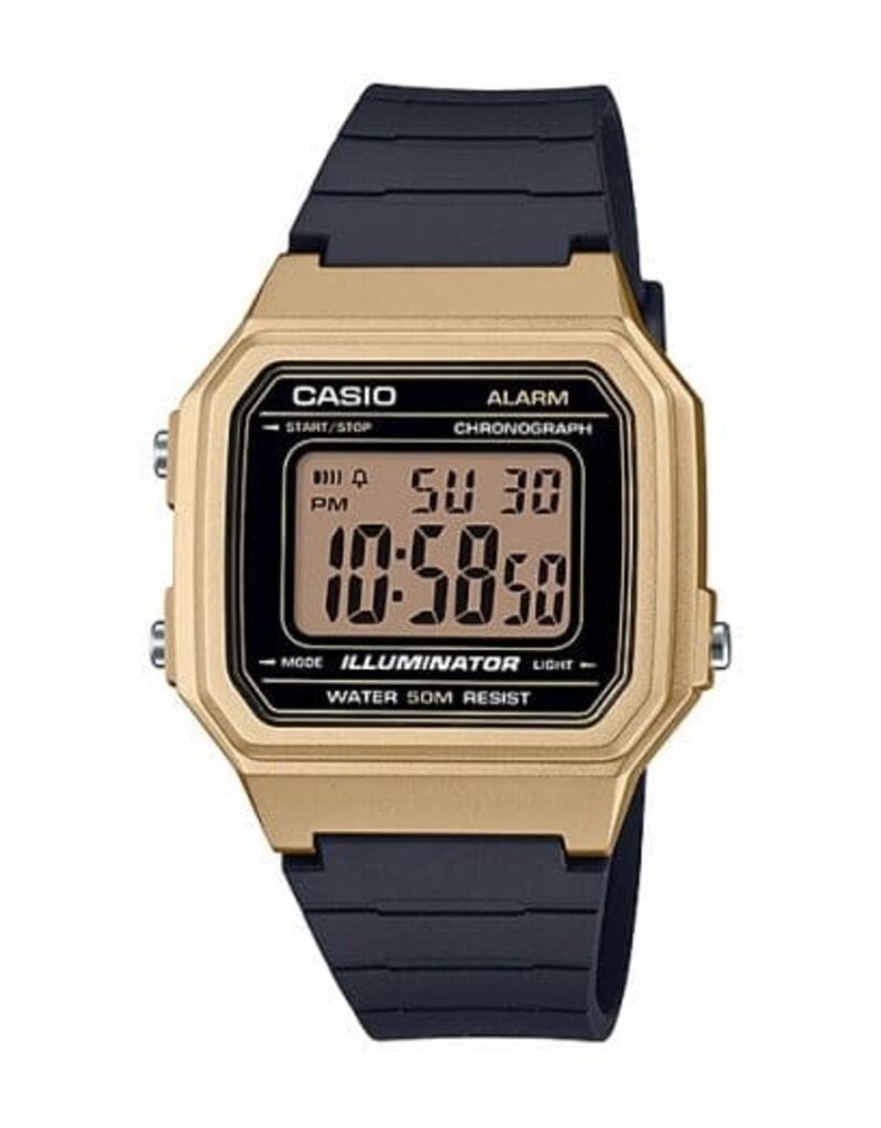 CASIO CASIO W-217HM-9AV