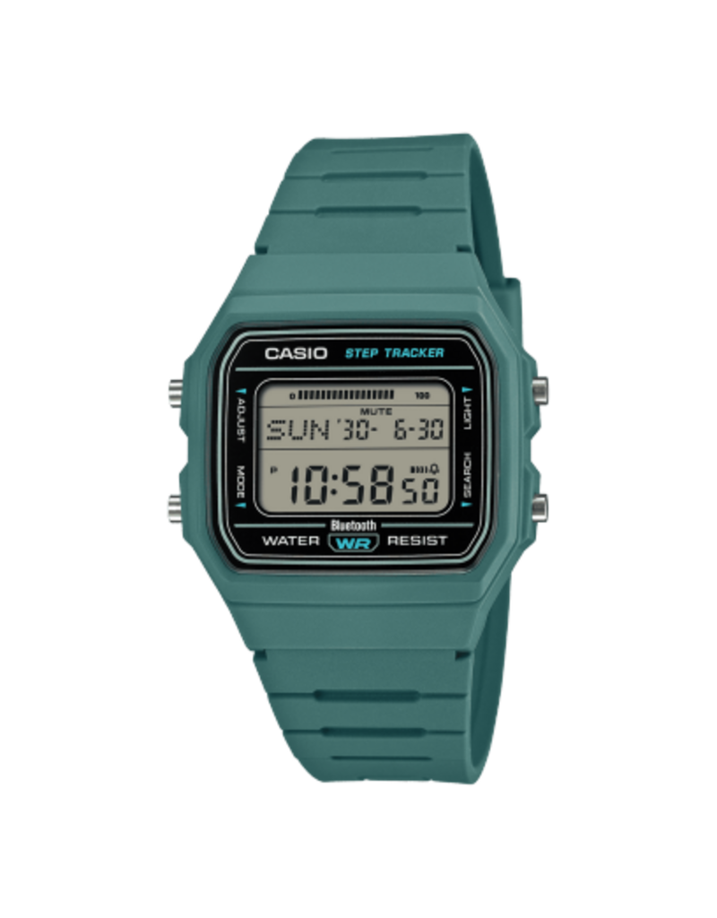 CASIO CASIO F-B100W-3A