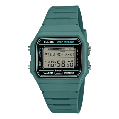 CASIO CASIO F-B100W-3A