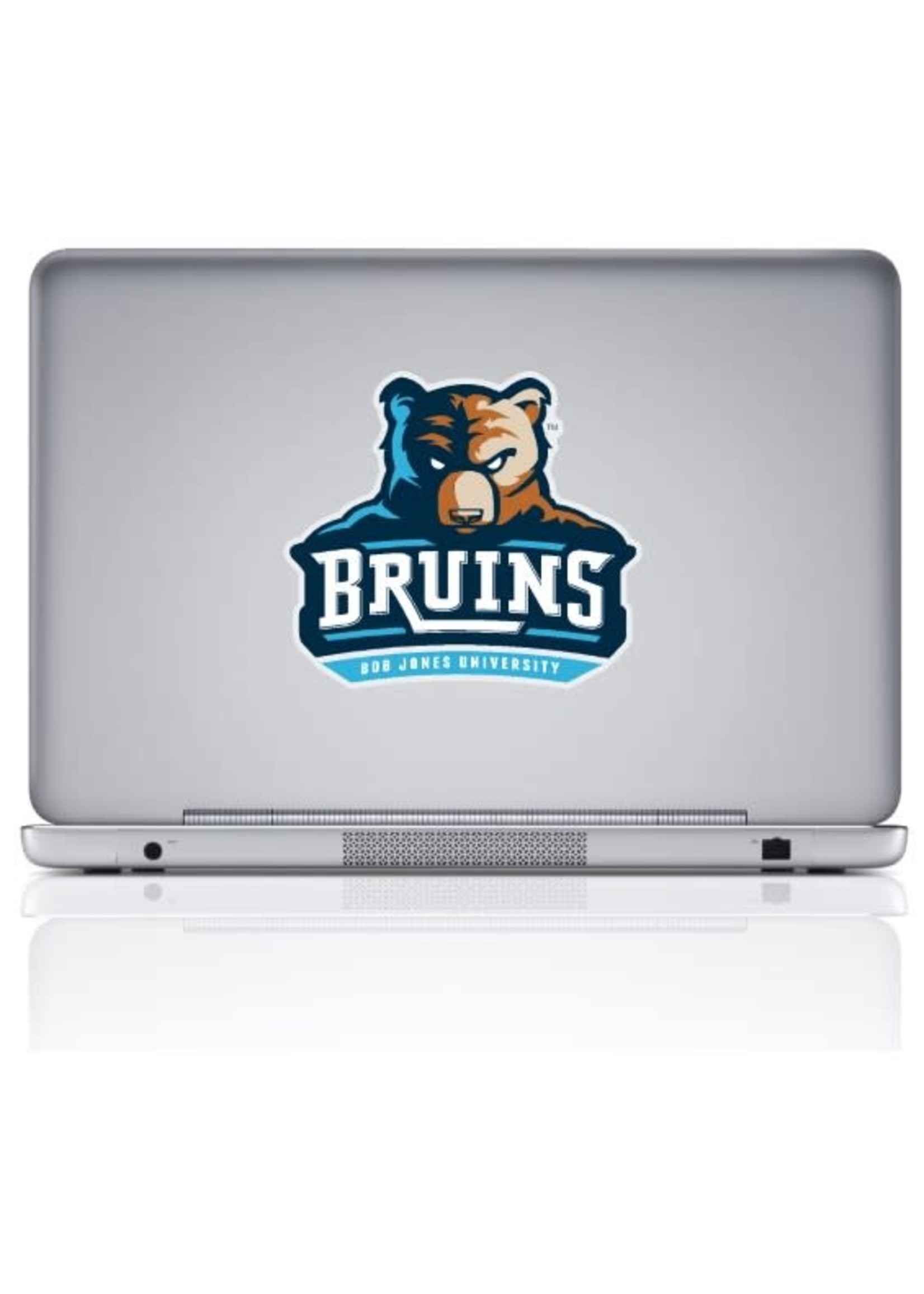 Bruins Removable Decal