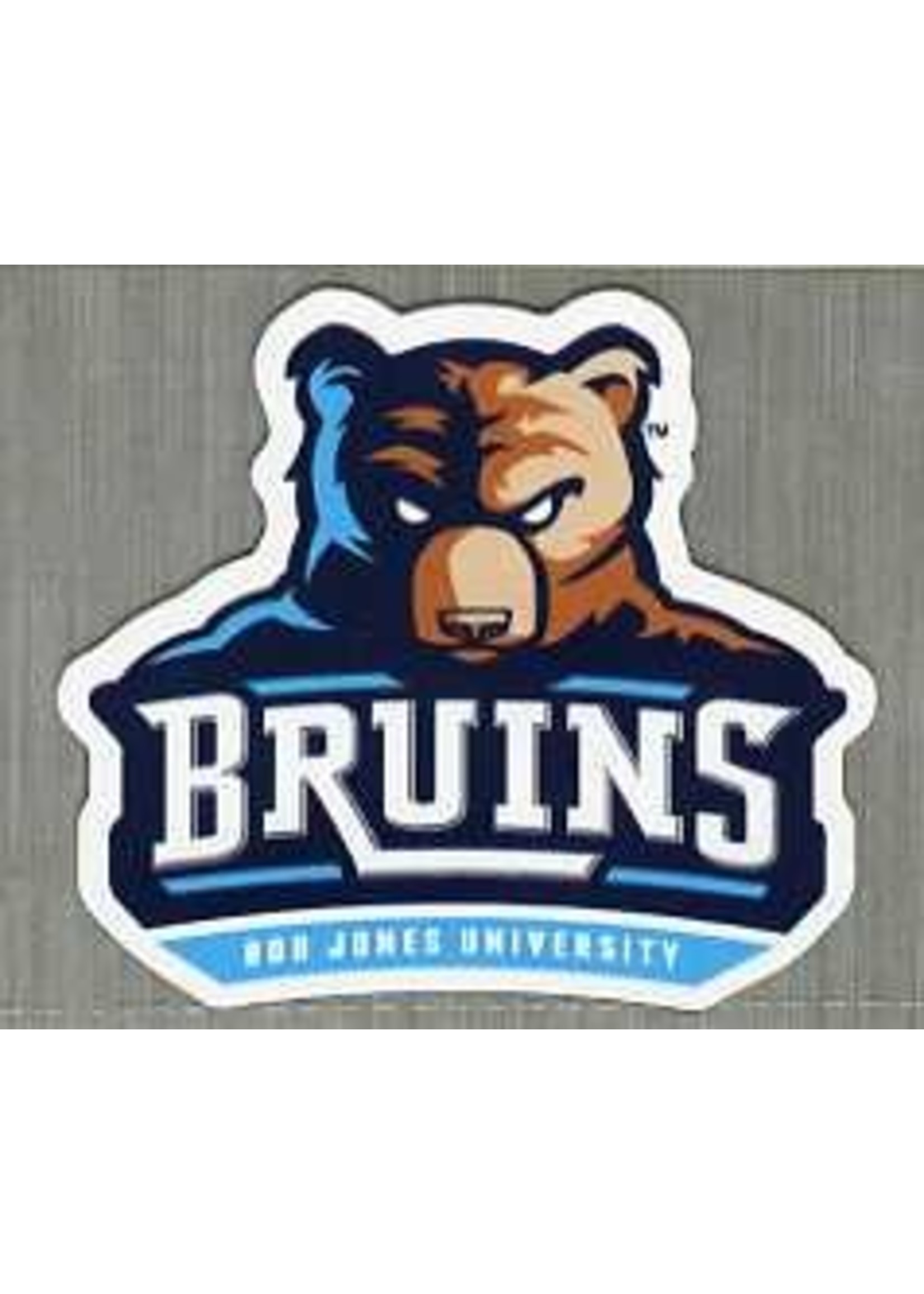 Bruins Mini Magnet