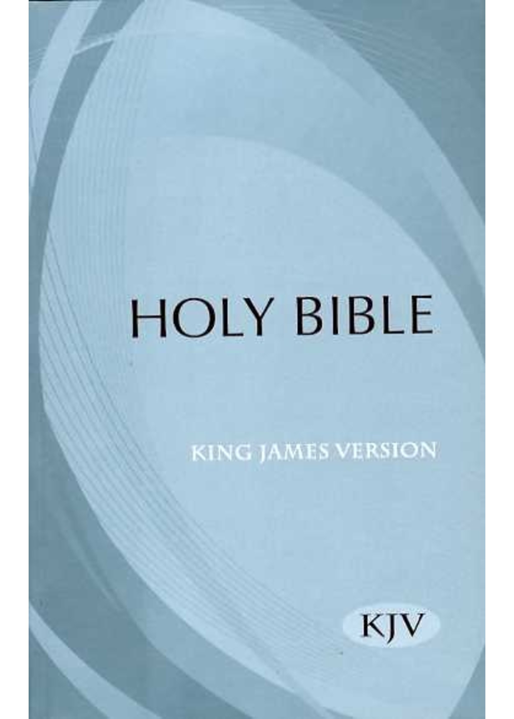 Hendrickson Publisher KJV Outreach Bible - Hendrickson