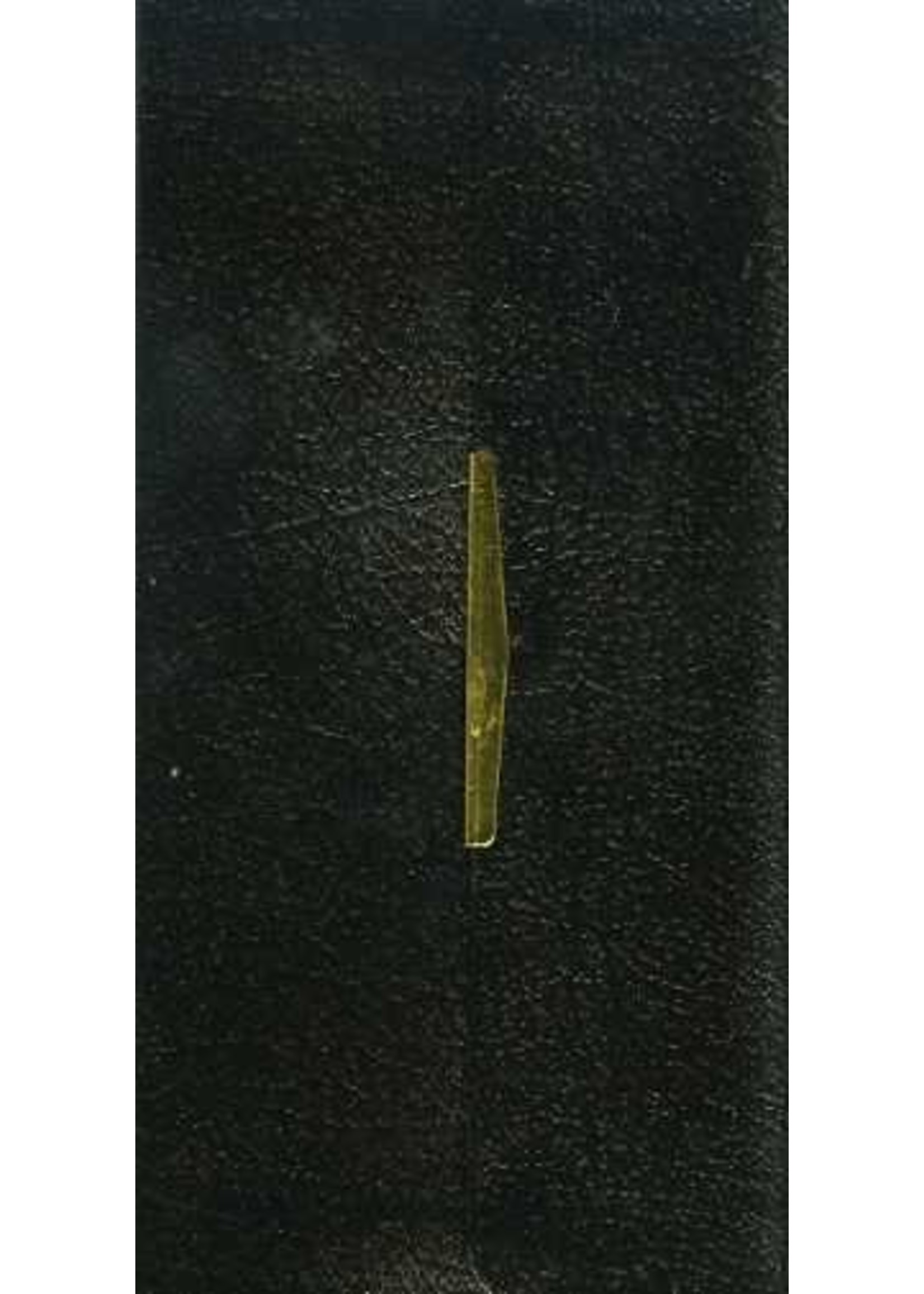 Thomas Nelson KJV Checkbook Bible with Snap Cover - Thomas Nelson