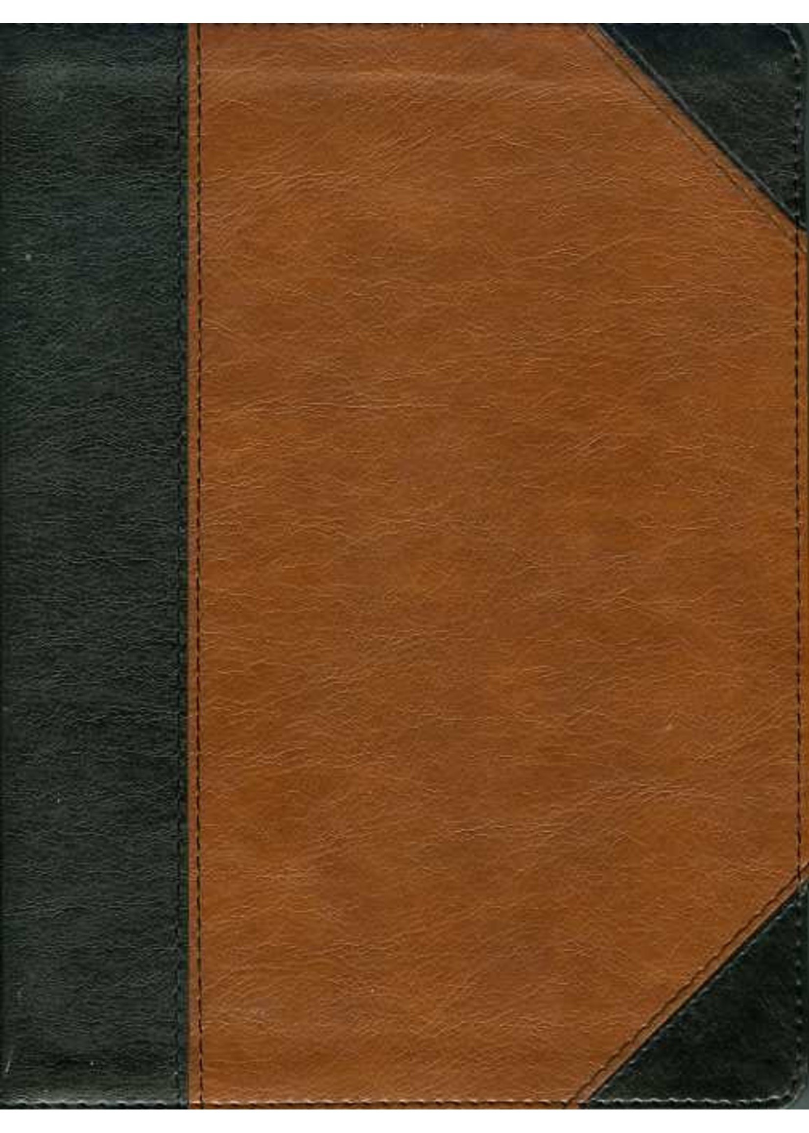 B&H Publishing CSB Study Bible: Black/Brown Leathertouch - B&H