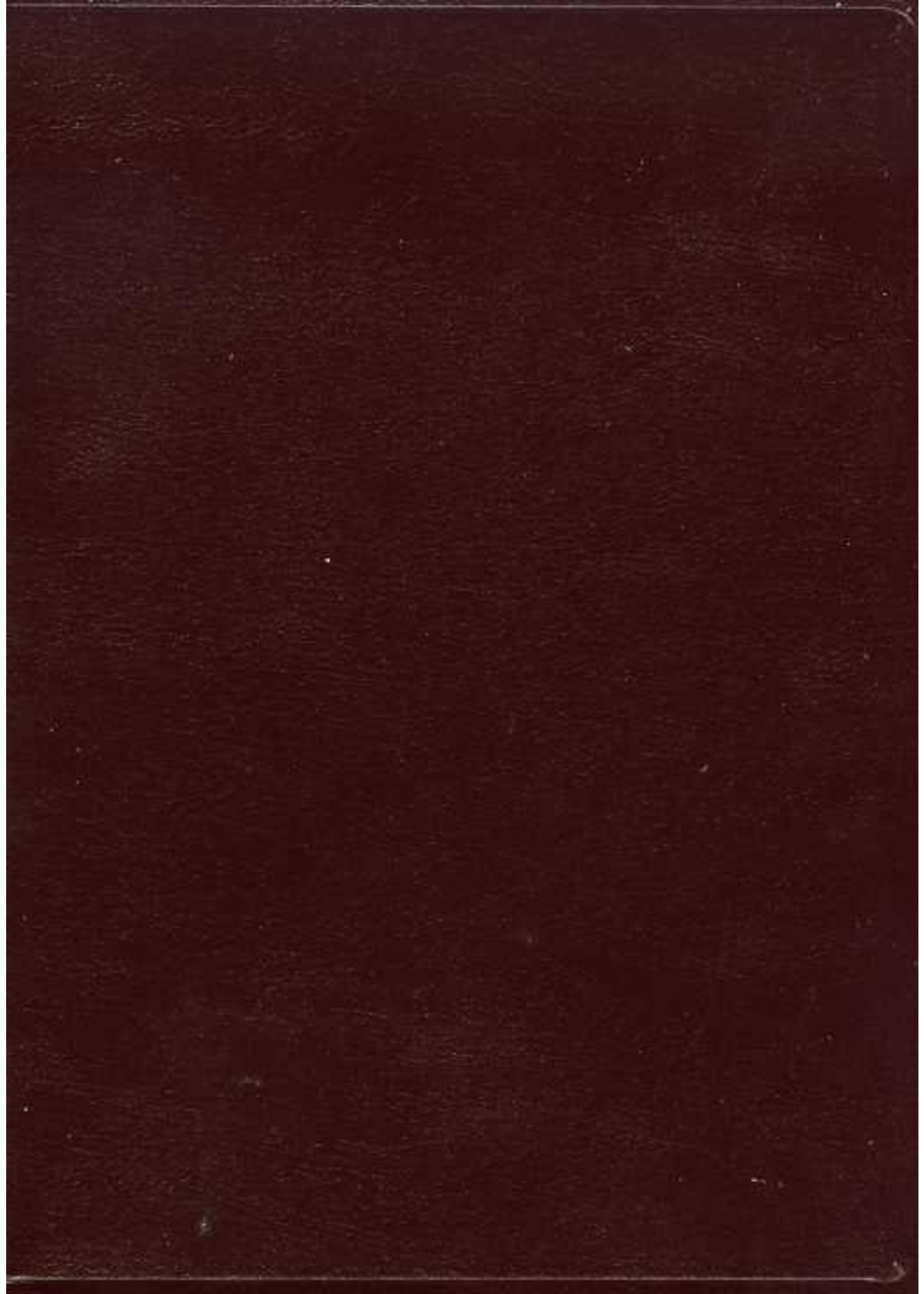 Oxford University Press NKJV Scofield Study Bible III - Large Print, Burgundy