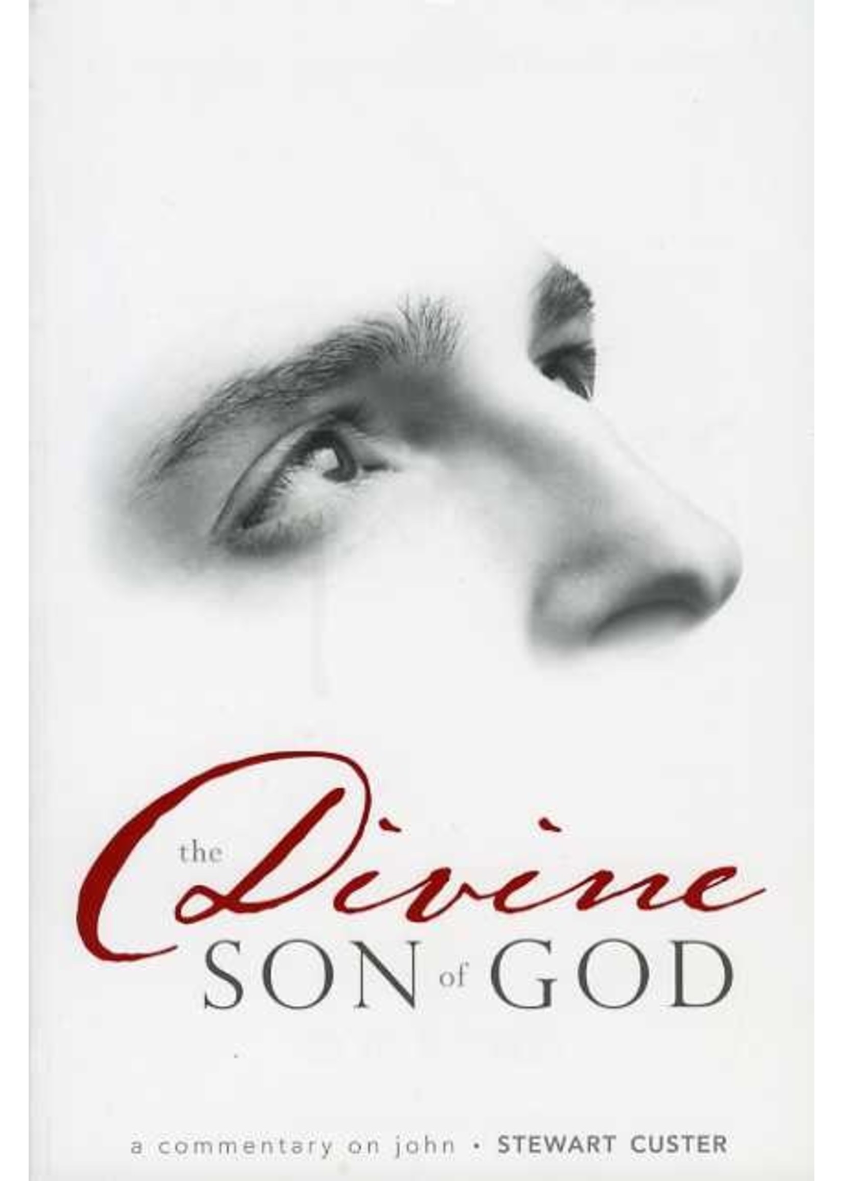 BJU Press The Divine Son of God: John - Stewart Custer