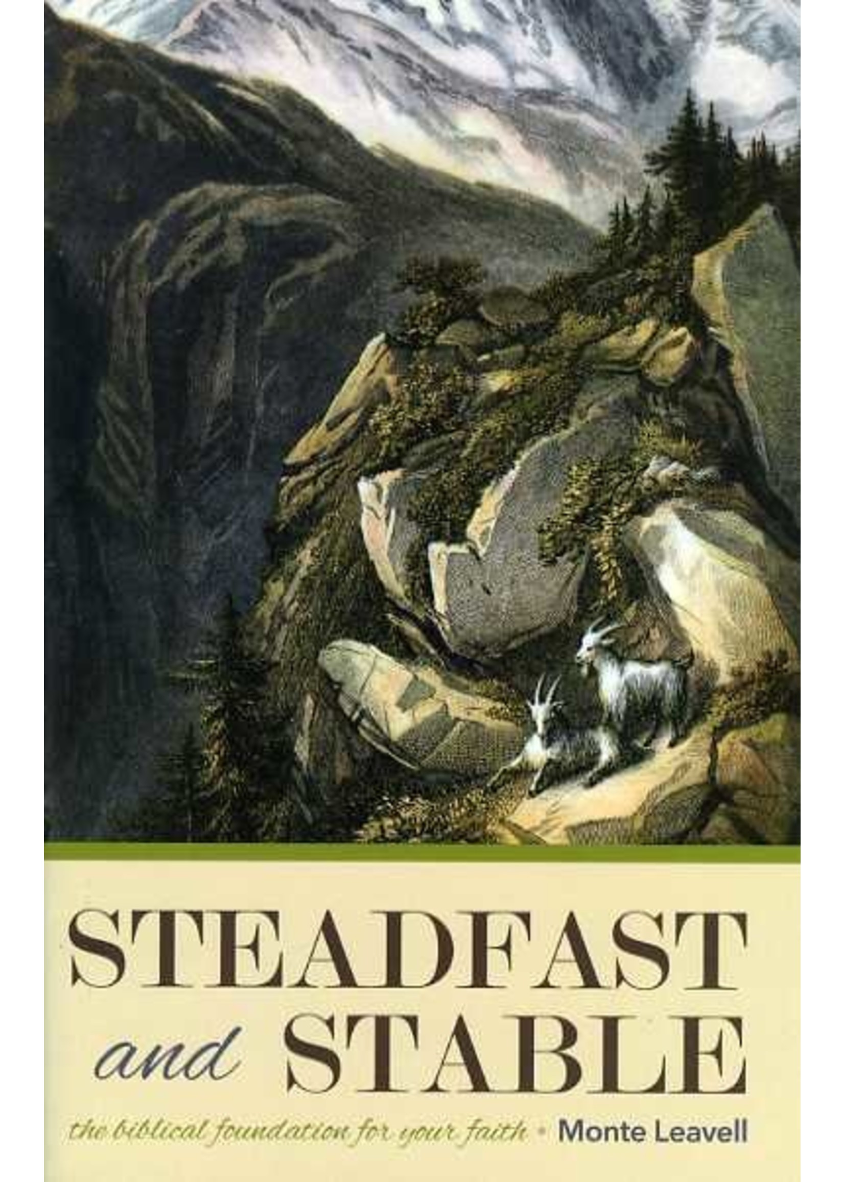 BJU Press Steadfast and Stable - Monte Leavell