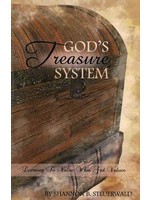 God's Treasure System - Shannon Steuerwald