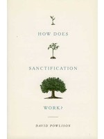 Crossway How Does Sanctification Work - David Powlison