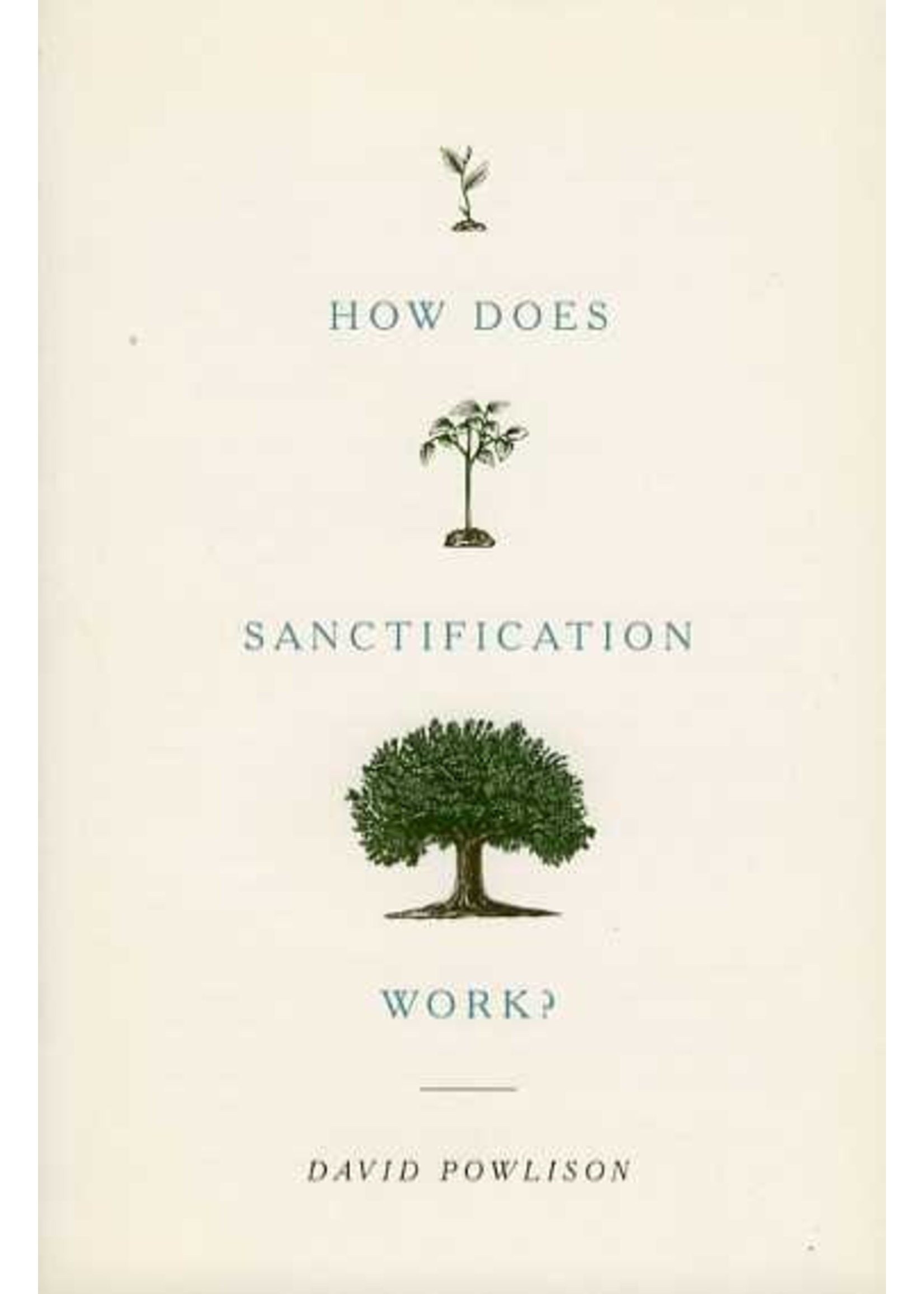 Crossway How Does Sanctification Work - David Powlison