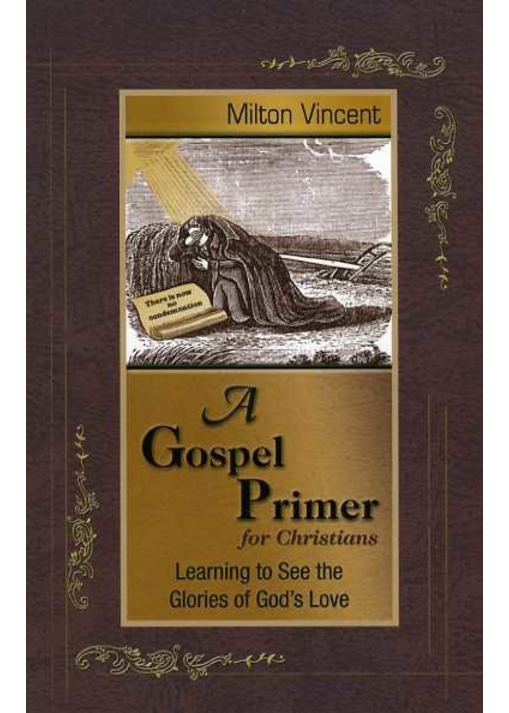 Focus Publishing A Gospel Primer for Christians - Milton Vincent