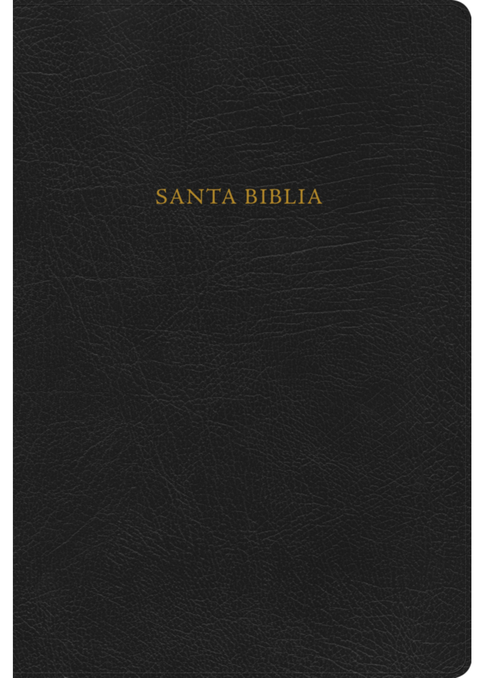 RVR 1960 Nueva Biblia de Estudio Scofield negro, piel fabricada
