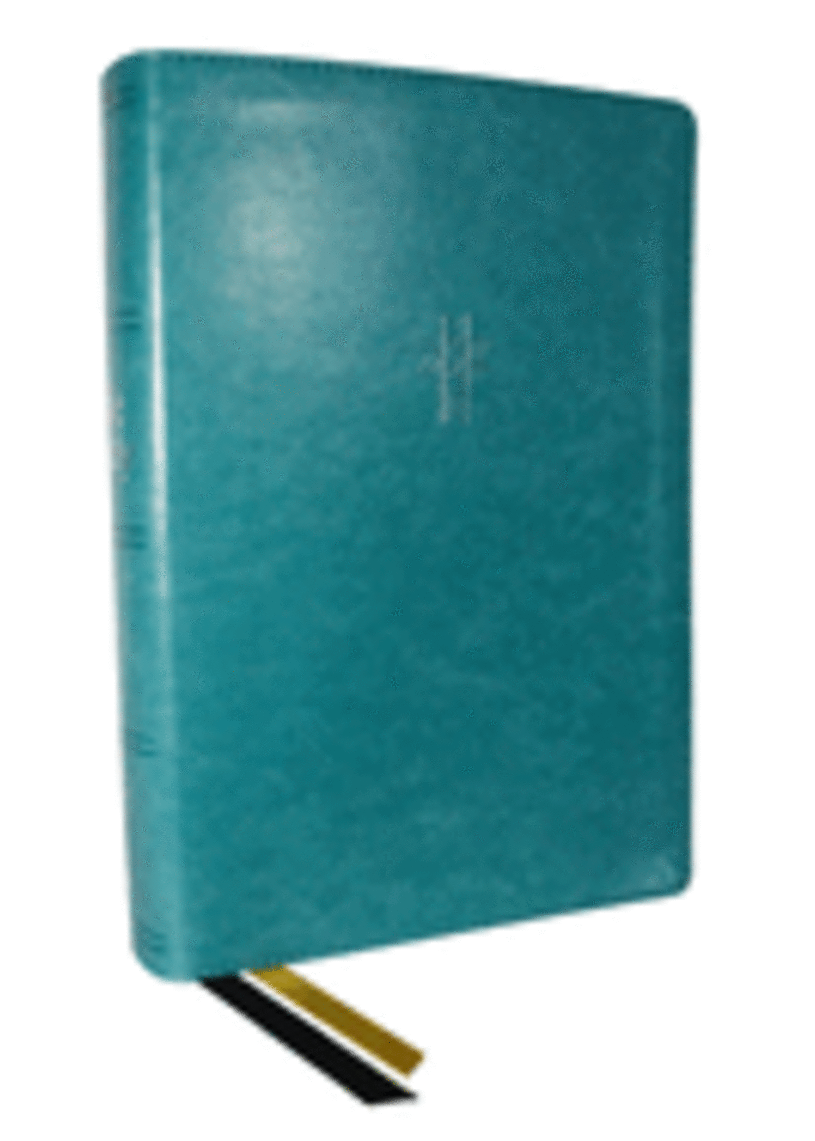 NKJV, the Bible Study Bible, Leathersoft, Turquoise, Comfort Print