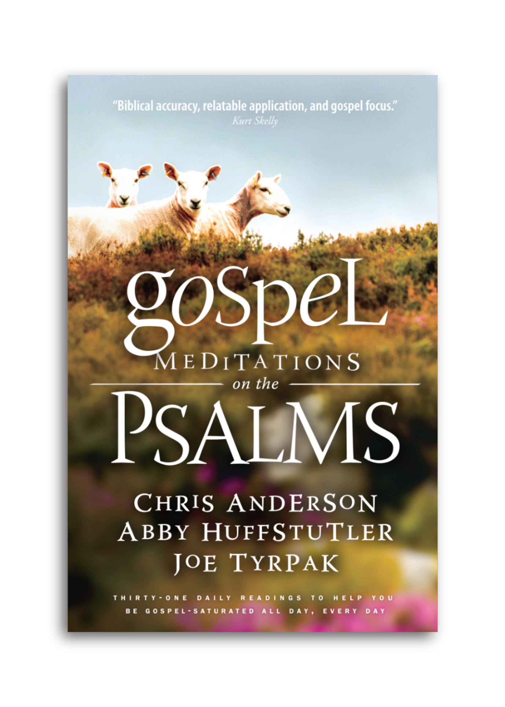 Gospel Meditation on the Psalms - Chris Anderson