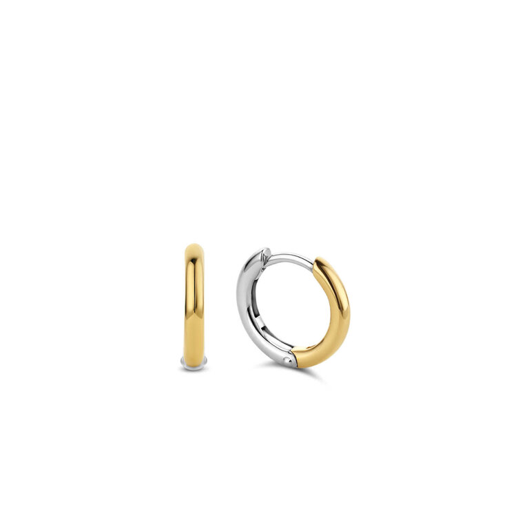 Ti Sento Milano BOUCLES D'OREILLES ARGENT PL OR 2T