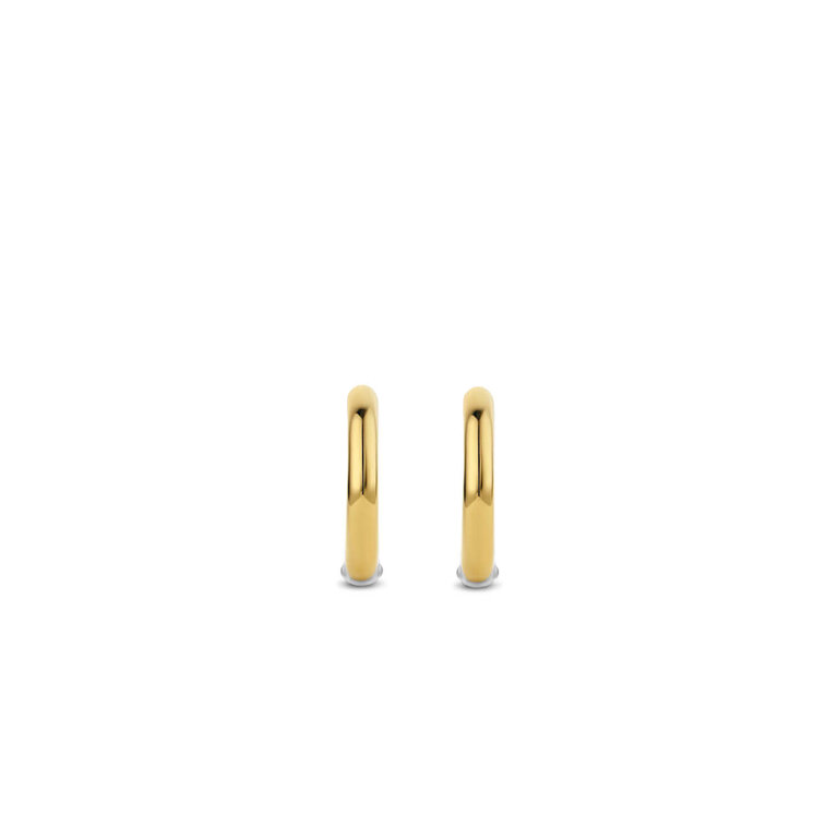 Ti Sento Milano BOUCLES D'OREILLES ARGENT PL OR 2T