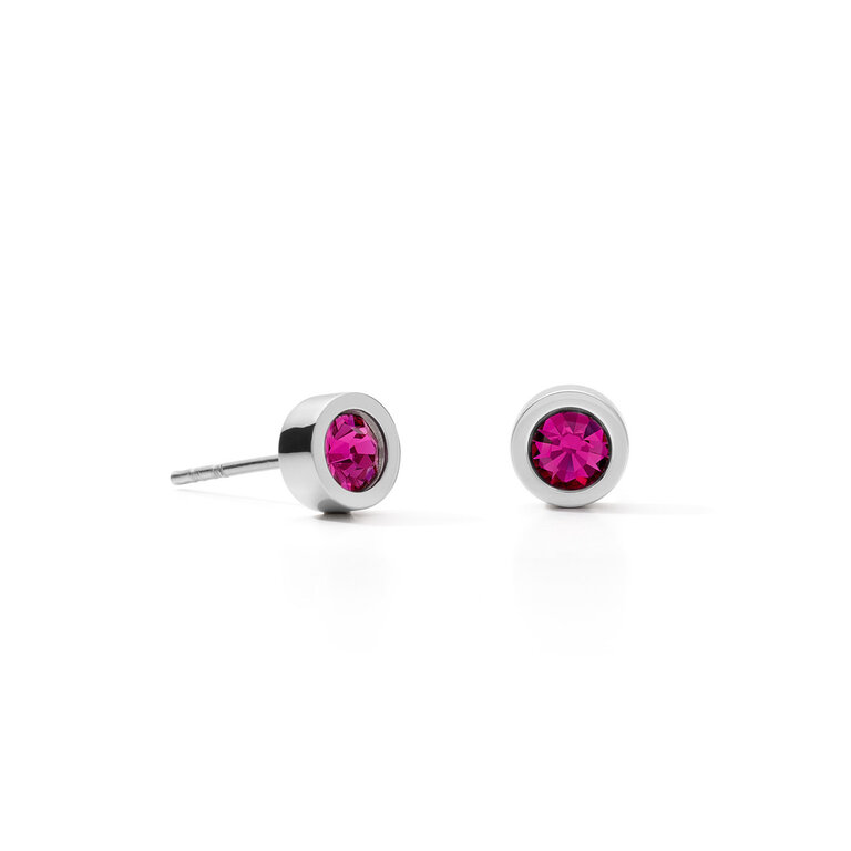 Coeur de Lion Boucles d'oreilles Rose vif-argent