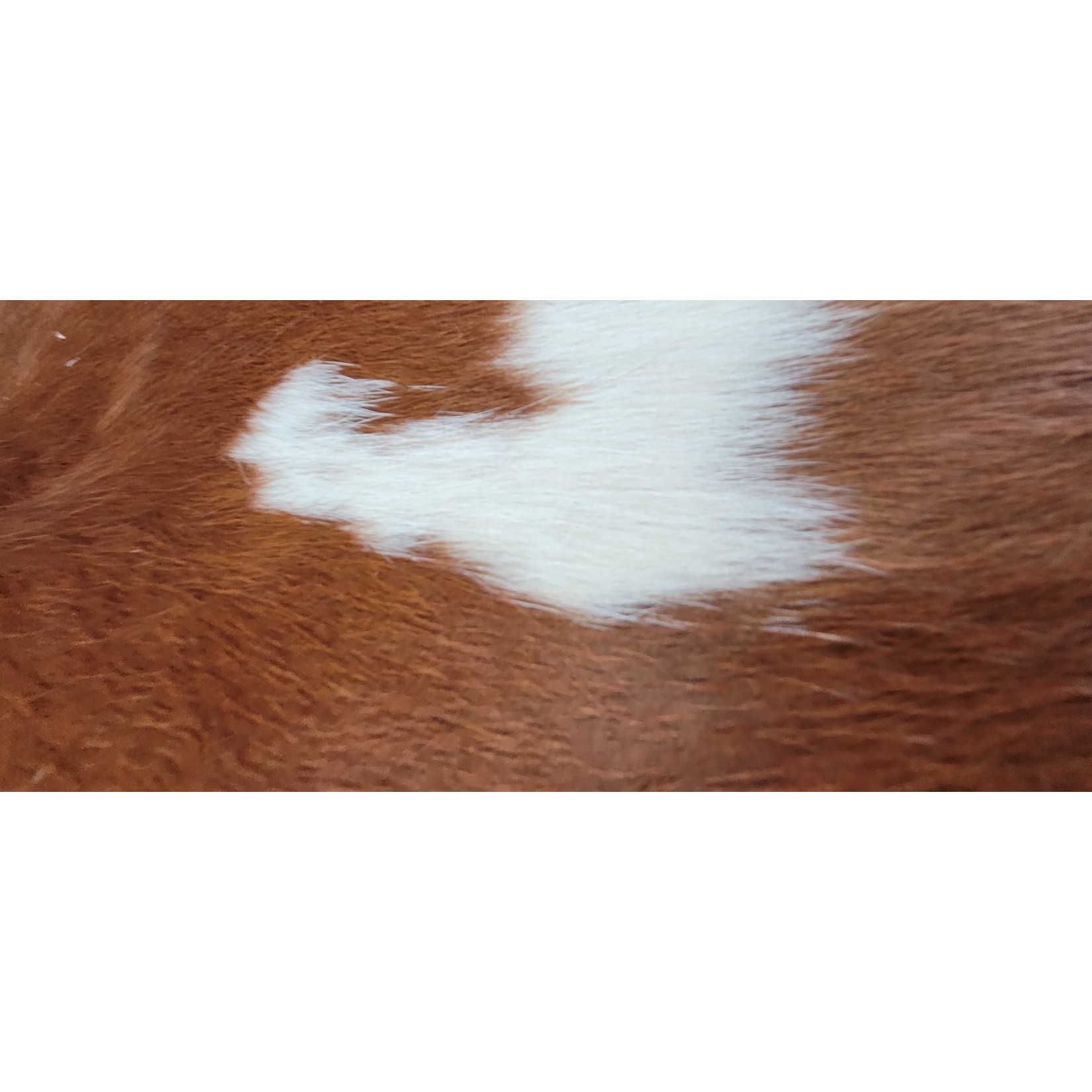 Peau de Vache Grade A1 Cowhide