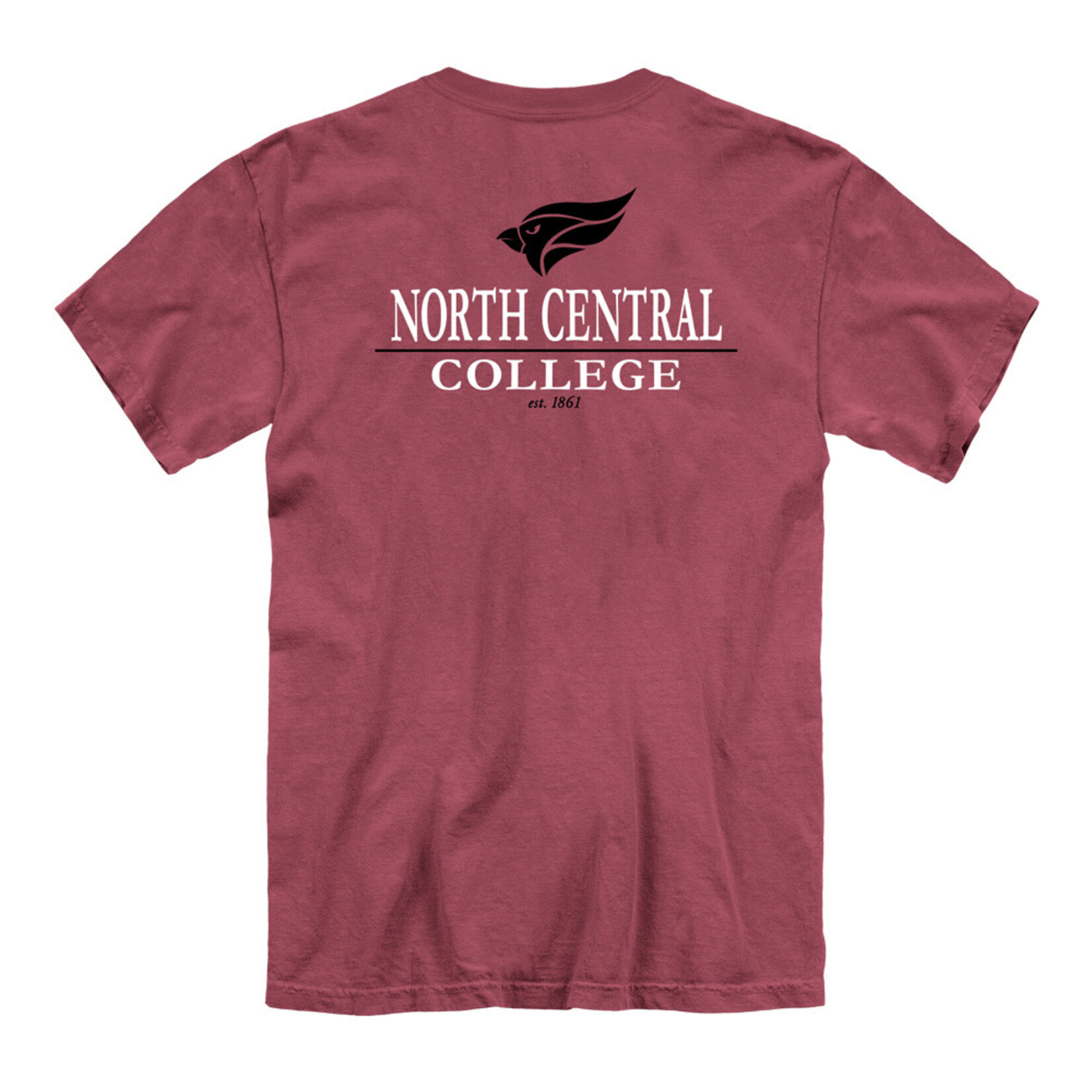 Unisex  Comfort Color Tee shirt w/ Front and back print