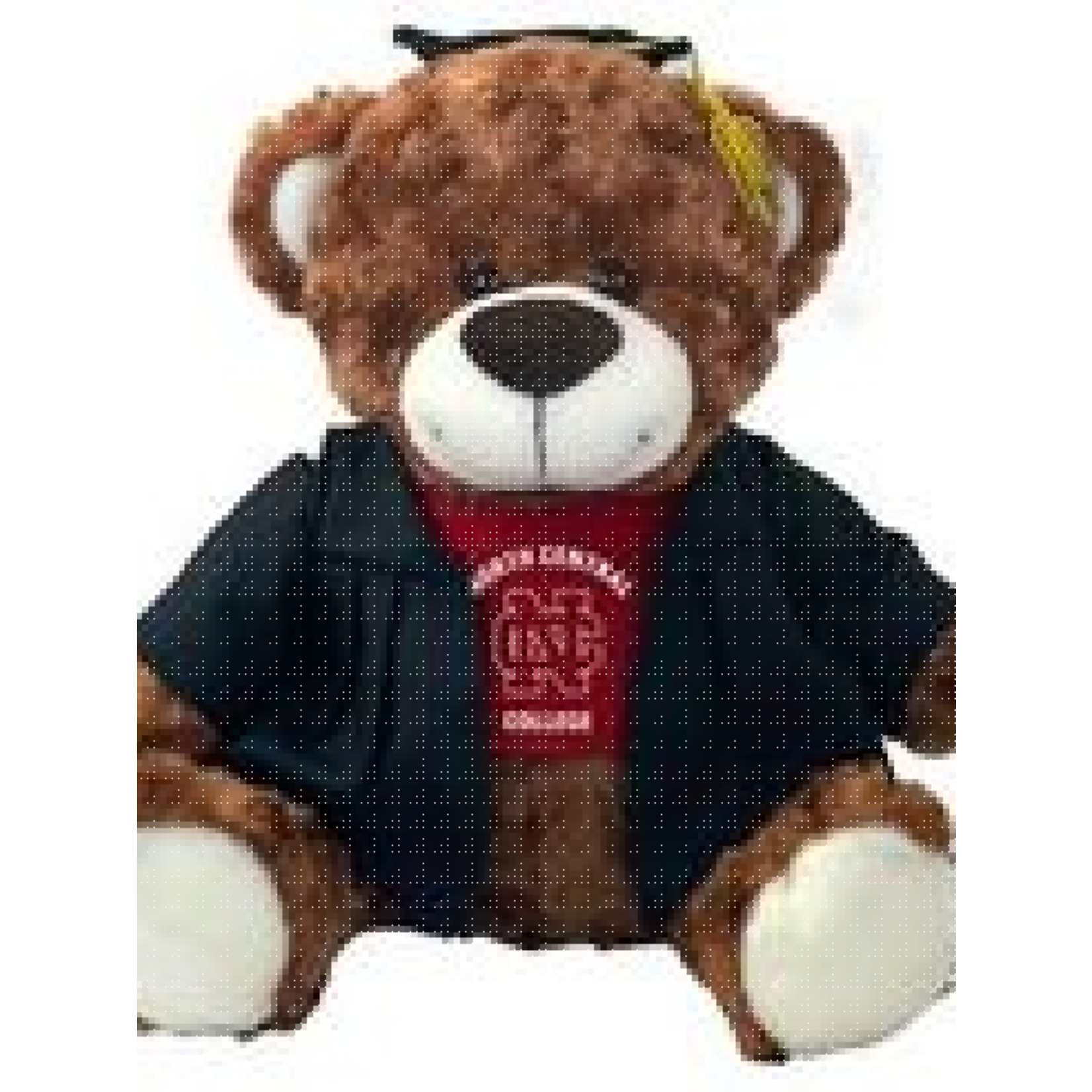 Mascot Factory North Central College  Grad Bears