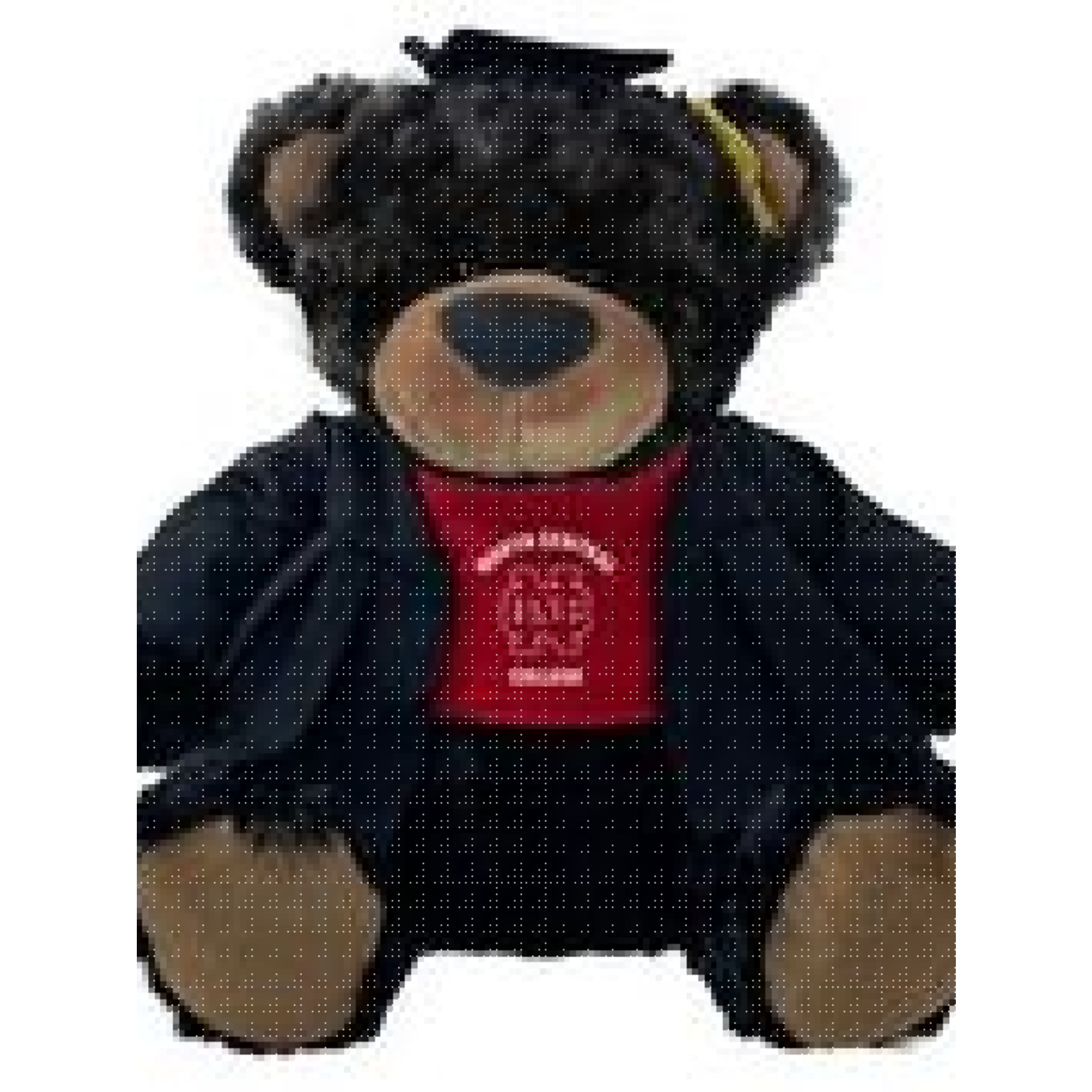 Mascot Factory North Central College  Grad Bears