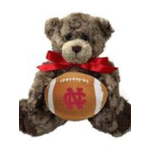 Mascot Factory North Central College Charlie Jr Bear w/football