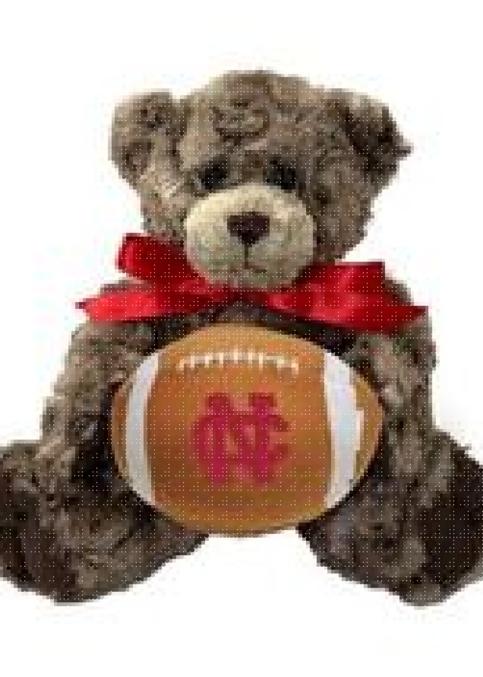 Mascot Factory North Central College Charlie Jr Bear w/football