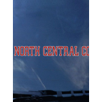 CDI Corporation North Central College Strip Decal by ColorShock