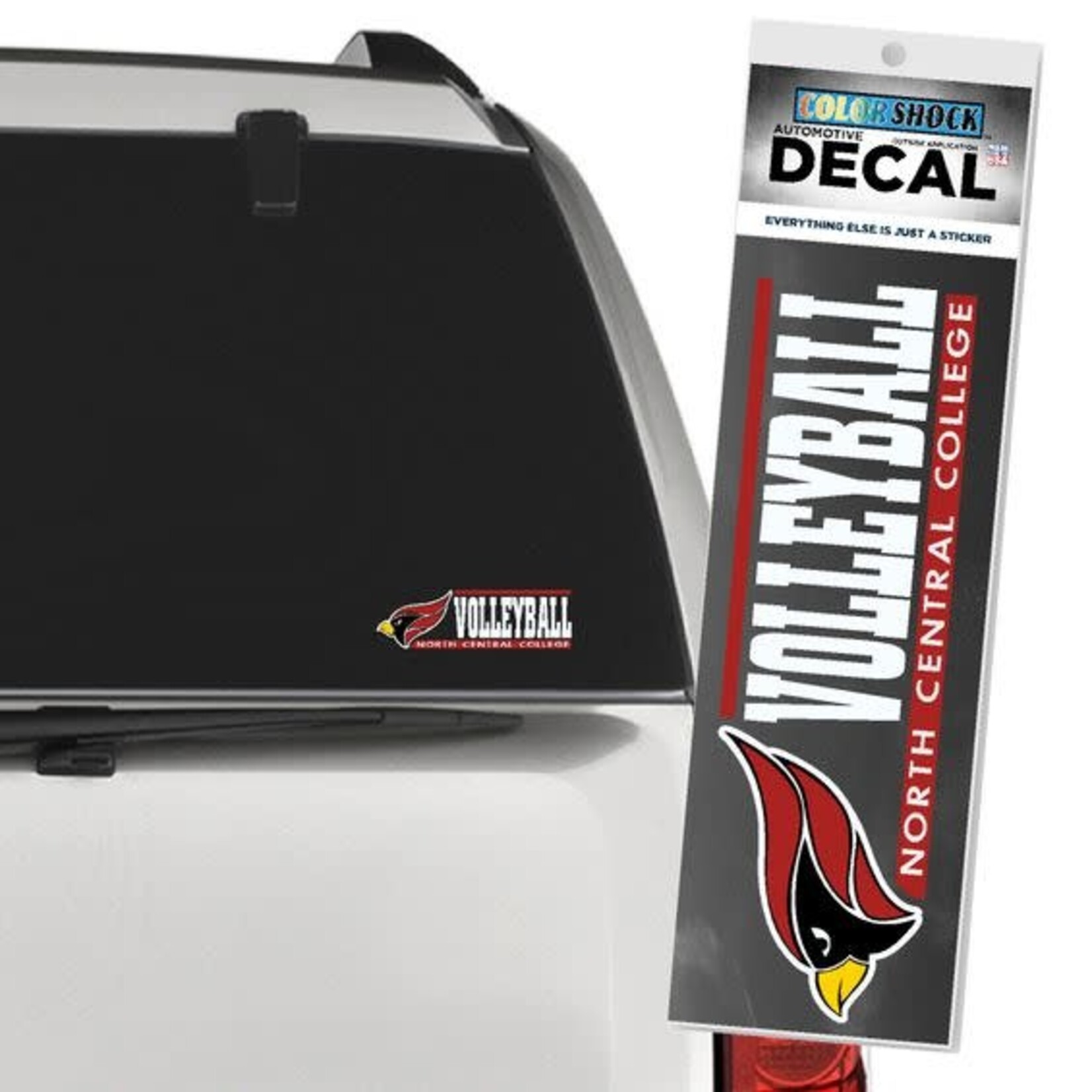 CDI Corporation Decal Bar Design Team  Volleyball