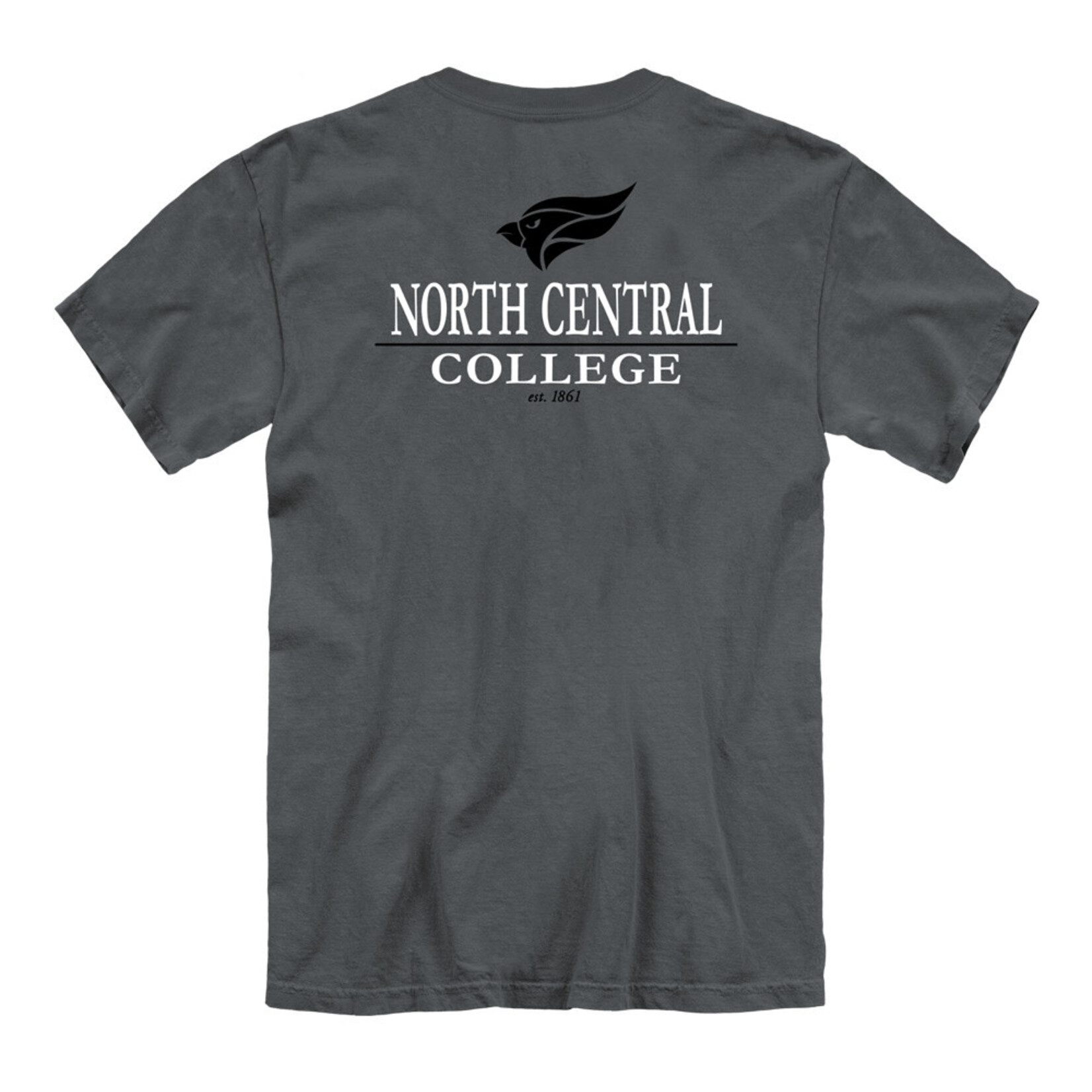 Unisex  Comfort Color Tee shirt w/ Front and back print