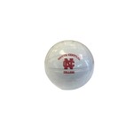 Neil Enterprises Soft Sport Mini  Foam Game Balls