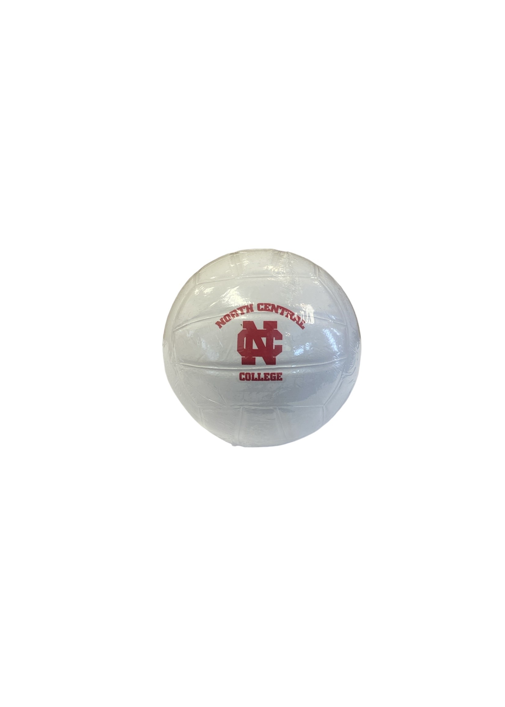 Neil Enterprises Soft Sport Mini  Foam Game Balls