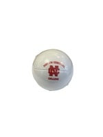 Neil Enterprises North Central College Foam Sports Balls