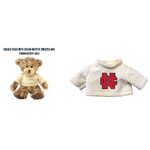 Mascot Factory New for 2023! North Central College Charlie Bear w/Embroidered Sweater