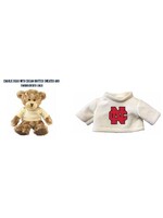 Mascot Factory North Central College Charlie Bear w/Embroidered Sweater