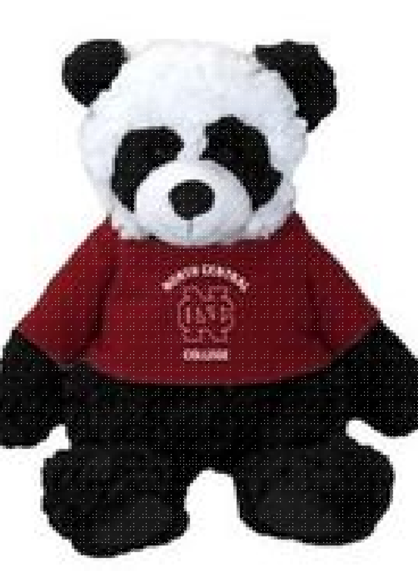 Mascot Factory Cuddle Buddy Plush w/ red T shirt