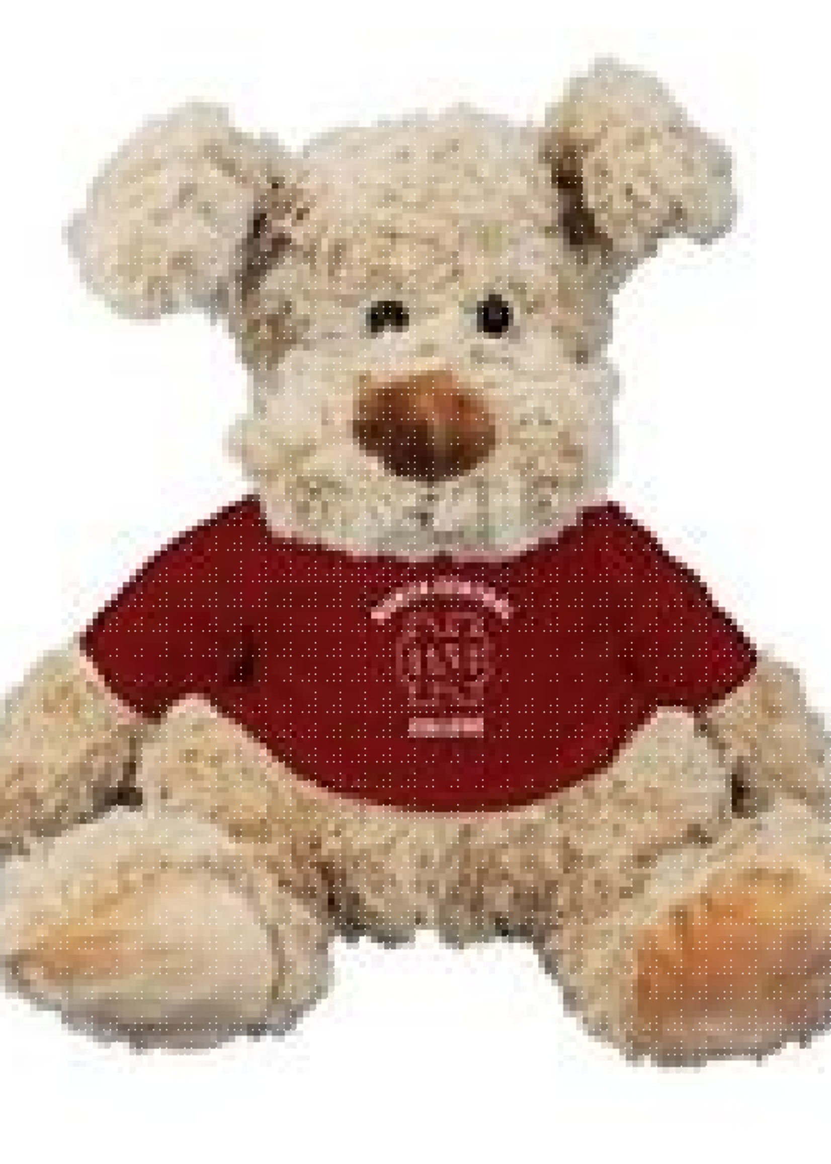 Mascot Factory Cuddle Buddy Plush w/ red T shirt