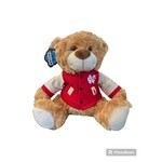 Mascot Factory NCC Bear w/ Varsity Jacket