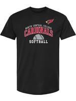 College House Name Drop Shirt in black  - Softball