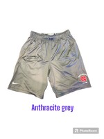 Nike Nike Fly Shorts 2.0 - Anthracite Grey