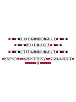 Neil Enterprises North Central College Friendship Bracelets
