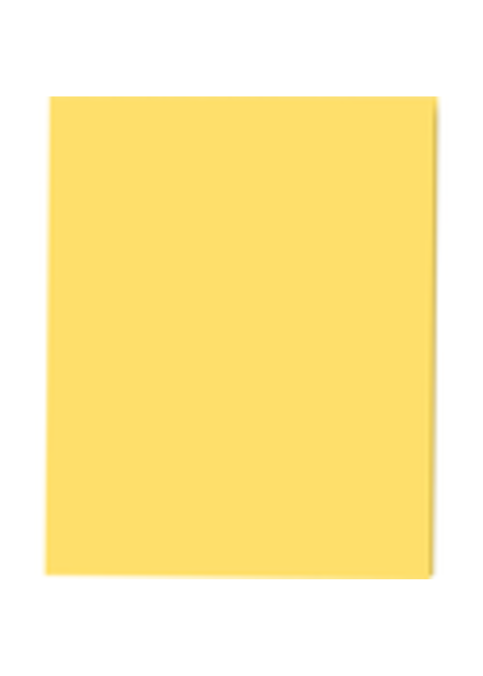 Roaring Spring 2 Pocket Laminate Folder